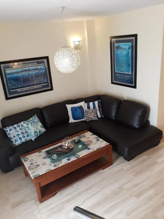 Seahaus Cotillo